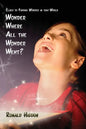 Wonder Where All the Wonder Went: Clues to Finding Wonder in this World - Paperback