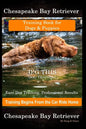 Chesapeake Bay Retriever Training Book for Dogs & Puppies By D!G THIS DOG Training Easy Dog Training, Professional Results, Training Begins from the C - Paperback