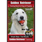 Golden Retriever Training Book for Dogs and Puppies by BoneUp Dog Training: Are You Ready to Bone UP? - Paperback