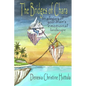 The Bridges of Chara: an allegory of your brain's emotional landscape - Paperback