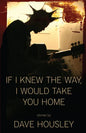 If I Knew the Way, I Would Take You Home - Paperback