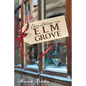 Christmas in Elm Grove - Paperback