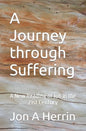 A Journey through Suffering: A New Reading of Job in the 21st Century - Paperback