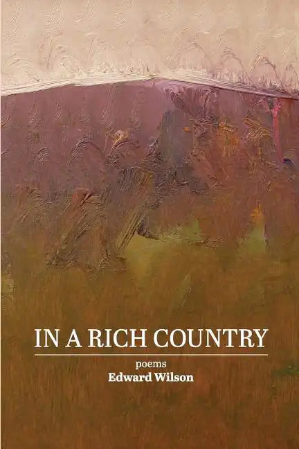 In a Rich Country: poems - Paperback