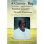 A Country Boy from Sumter County, South Carolina: The Autobiography of Harry Lee Fulwood, Sr. - Paperback