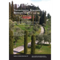 Transcending Borders, Bridging Gaps: Italian Americana, Diasporic Studies, and the University Curriculum - Paperback