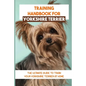 Training Handbook For Yorkshire Terrier: The Ultimate Guide To Train Your Yorkshire Terrier At Home: Techniques To Train A Yorkshire Terrier - Paperback