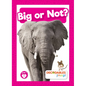 Big or Not? - Library Binding