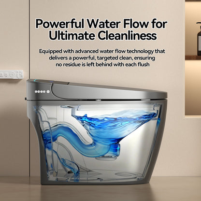 Unique Smart Toile,  One Piece Toilet with Bidet Built In,Intelligent Toilet ...