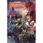 Apparently, Disillusioned Adventurers Will Save the World, Vol. 5 (Light Novel): The Magic Mirror in a City of Carnage - Paperback