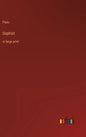 Sophist: in large print - Hardcover