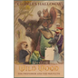 West of Wild Wood: The Professor and the Pan Flute - Paperback
