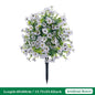 Eucalyptus Violet Floor Outlet Garden Green Plant