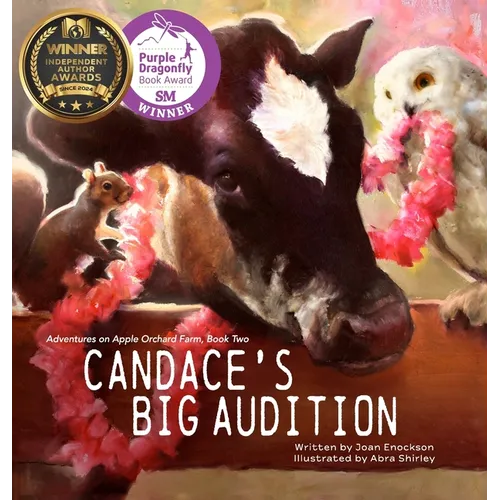 Candace's Big Audition - Hardcover