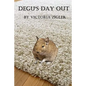 Degu's Day Out - Paperback
