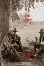 Horse Trader - Paperback