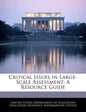 Critical Issues in Large-Scale Assessment: A Resource Guide - Paperback