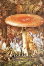 The Orange Fairy Book by Andrew Lang, Fiction, Fairy Tales, Folk Tales, Legends & Mythology - Paperback