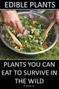 Edible Plants: Plants You Can Eat To Survive In the Wild - Paperback