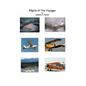 Flights of the Voyager - Paperback
