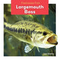 Largemouth Bass - Library Binding