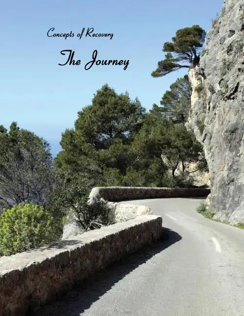 Concepts of Recovery The Journey - Paperback