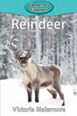 Reindeer - Paperback