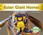Asian Giant Hornet - Library Binding