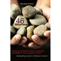 46 Stones: Letting Go Of Hurtful Notions, Tendencies, And Beliefs In The Evangelical Church - Paperback