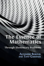 The Essence of Mathematics Through Elementary Problems - Paperback