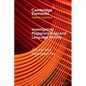 Investigating Plagiarism in Second Language Writing - Paperback