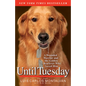 Until Tuesday - Paperback