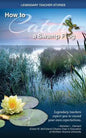 Legendary Teacher Stories: How to catch a swamp frog - Paperback