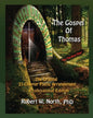 Gospel of Thomas Professional-The Original 21 Chapter Poetic Arrangement, Professional Edition - Paperback