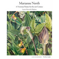 Marianne North: A Victorian Painter for the 21st Century - Hardcover