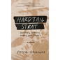 Hardtail Strat: Guitars, Heroin, Songs and Stories - Hardcover