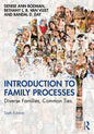 Introduction to Family Processes: Diverse Families, Common Ties - Paperback
