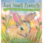 Just Small Enough: Instigating a Life of Prayer for Children - Hardcover