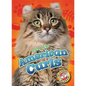 American Curls - Library Binding