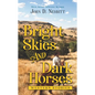 Bright Skies and Dark Horses: Western Stories - Library Binding