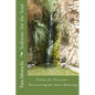 Software for the Soul: Psalms for Everyone - Discovering the Inner meanings - Paperback