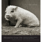 Allowed to Grow Old: Portraits of Elderly Animals from Farm Sanctuaries - Hardcover