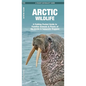 Arctic Wildlife: A Folding Pocket Guide to Familiar Animals & Plants of the Arctic and Subarctic Regions