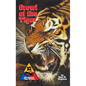 Growl of the Tiger: 10th Armored Tiger Division - Hardcover