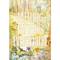 Patterns, Patterns Everywhere - Hardcover