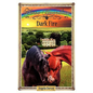 Dark Fire: Sometimes Horses Need a Little Magic - Paperback