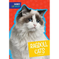 Ragdoll Cats - Library Binding