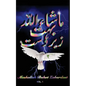 Mashallah Bohot Zabardast: Vol. 1 - Paperback
