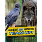Ravens and Wolves Team Up! - Hardcover
