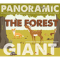 The Forest: A Poster Book to Understand Everything about the World - Hardcover
